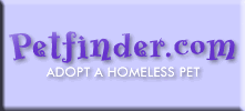 Pet Finders