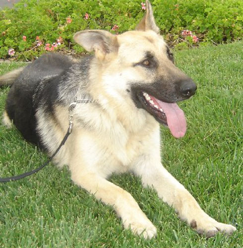 Joey051905-4