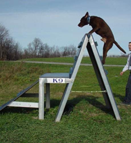 agility-02