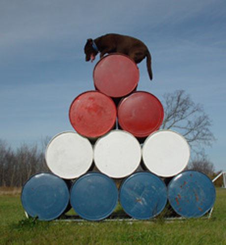 agility-06