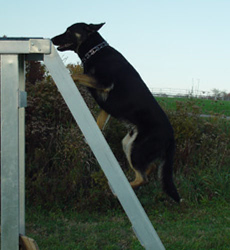 agility-09