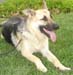 Joey051905-4