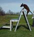 agility-02