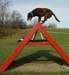 agility-03