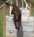 agility-05