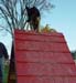 agility-08